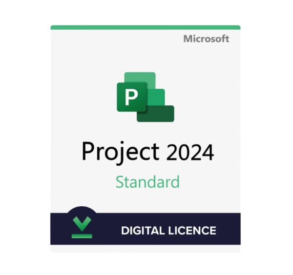 project 2024 professional key
